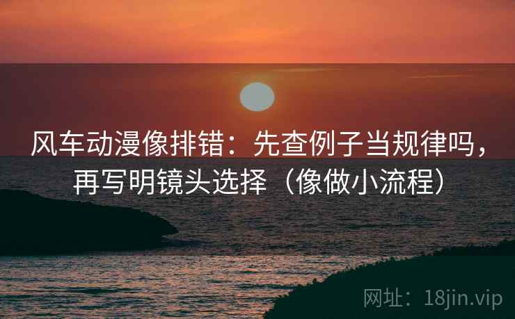 风车动漫像排错：先查例子当规律吗，再写明镜头选择（像做小流程）